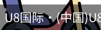 U8国际